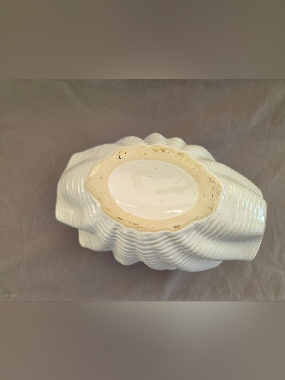 White Ceramic Shell-Style Decorative Bowl - Picture 6 of 6